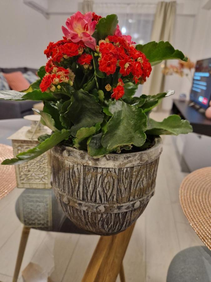 Star Airport Residence Otopeni Εξωτερικό φωτογραφία