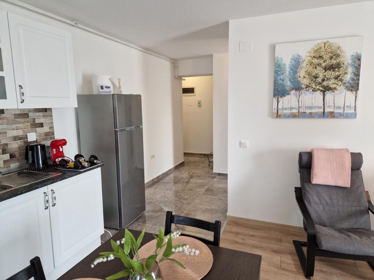Star Airport Residence Otopeni Εξωτερικό φωτογραφία